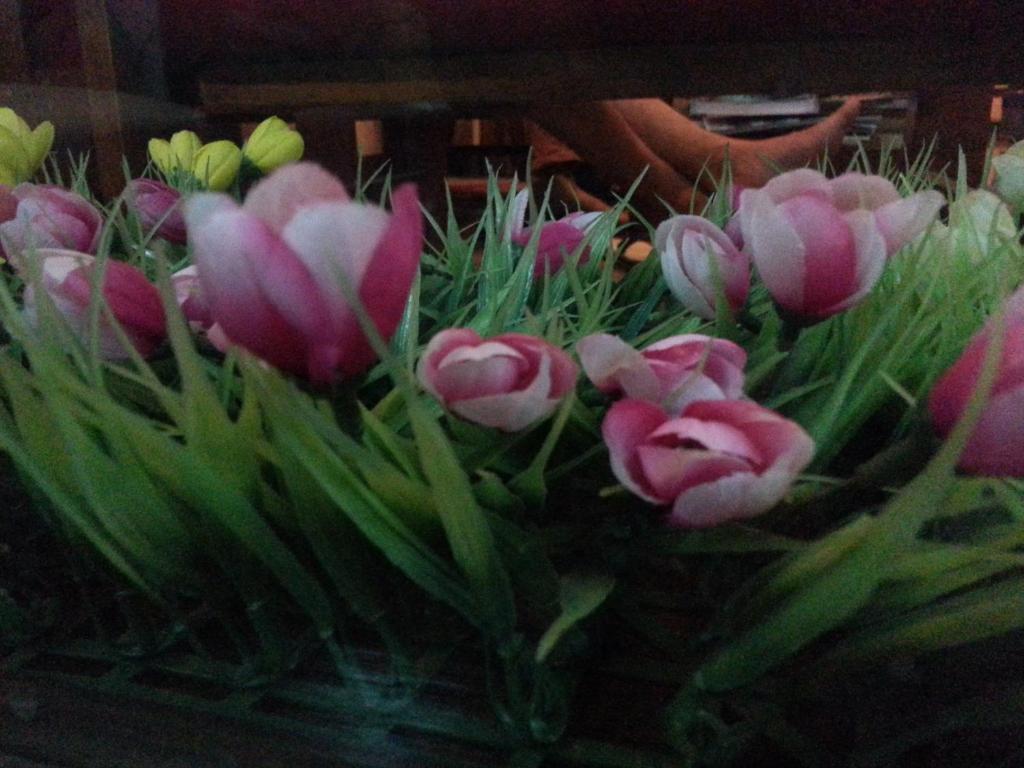 Pink Tulip Hotel Ho Chi Minh City Bagian luar foto