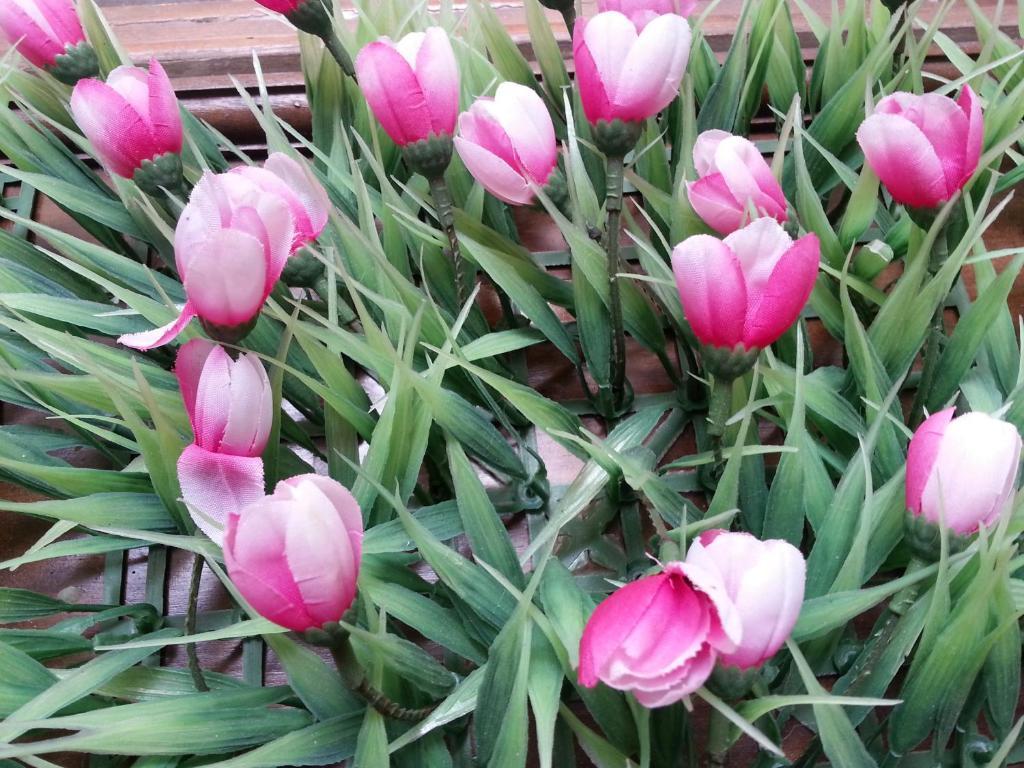 Pink Tulip Hotel Ho Chi Minh City Bagian luar foto